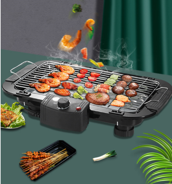 Barbecue grill kebab