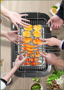 Barbecue grill kebab