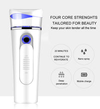 Load image into Gallery viewer, Mist Sprayer Handheld Ionic Facial Spray Mister Face Steamer
