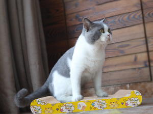 Cat scratching board, cat grinding claw supplies, corrugated paper pet toys